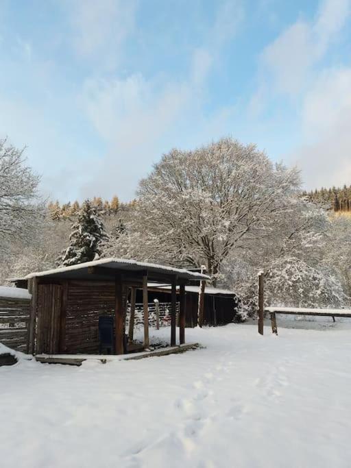Charmante Maison De Caractere A 2Km De Redu Libin Экстерьер фото